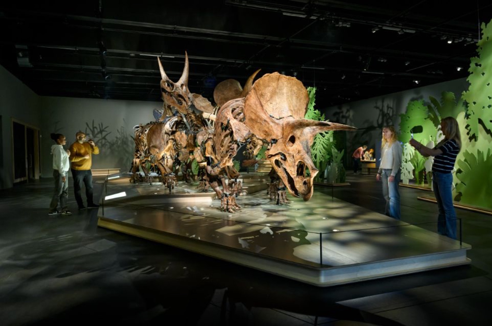 March of the Triceratops展览中的五具三角龙真骨架及参观者